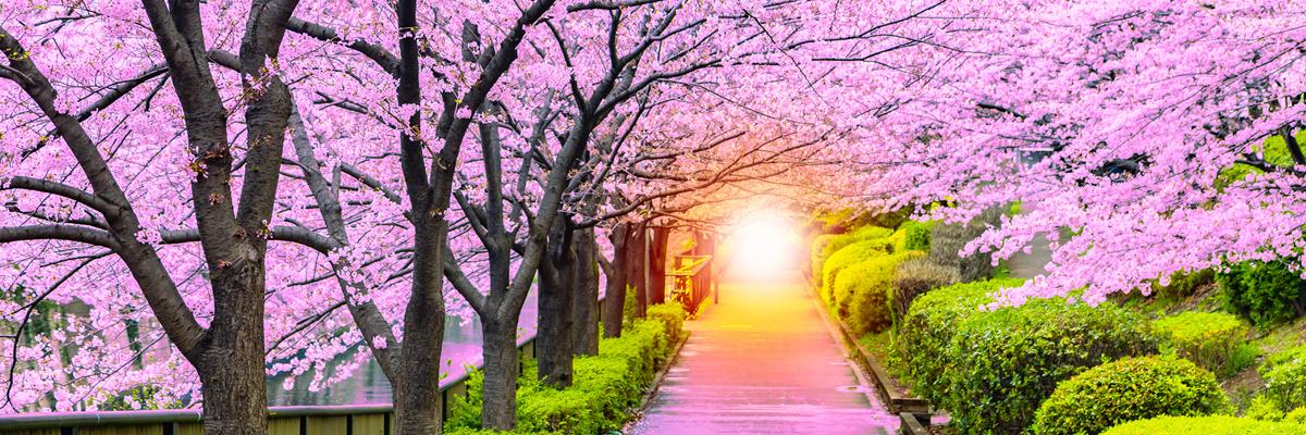 Early Booking Discount of $150 per person