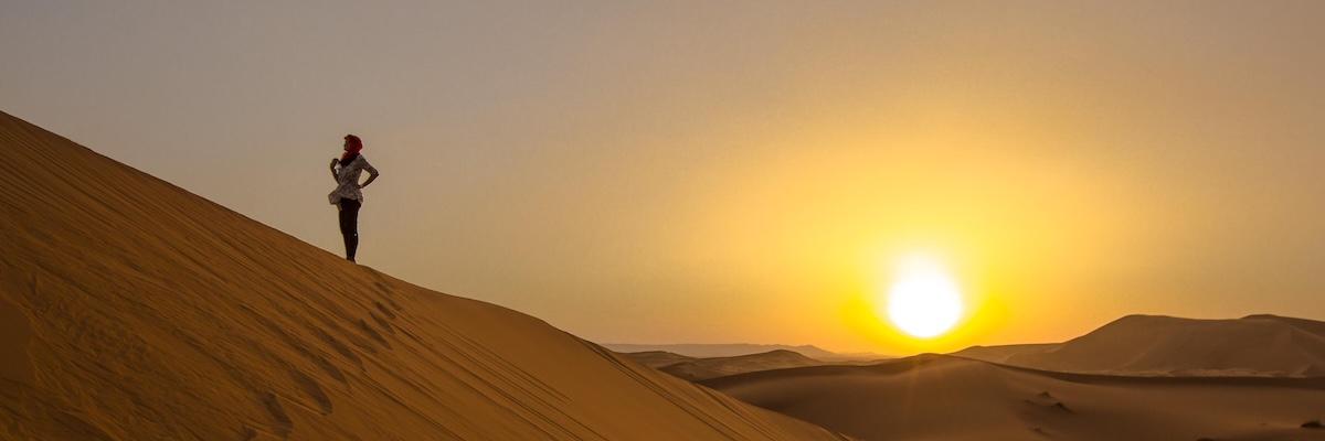 We just dropped 66 brand-new trips!